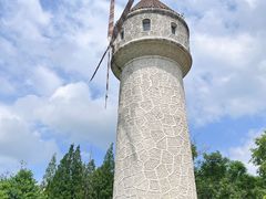 -东平国家森林公园