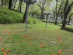 -文华公园(禅城区)