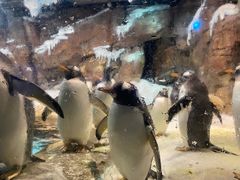 -波塞冬旅游度假区