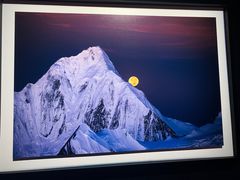 -罗红摄影艺术馆