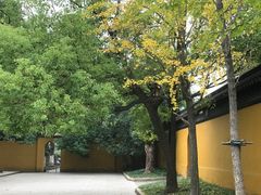 -西园戒幢律寺