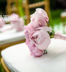 -新锦江大酒店·宴会厅·婚宴