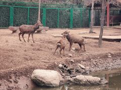 -临沂动植物园