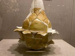 -南越王博物院(王宫展区)