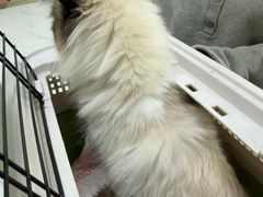 -嘉馨宠物医院·CT影像转诊·心脏科·犬猫全科诊疗中心(下沙大学城院区)