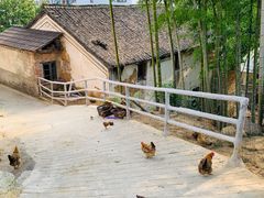 -山沟沟景区