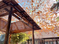 -春晖园度假酒店温泉