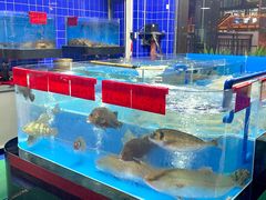 -明本湛江鸡•海鲜小厨(陈家祠店)