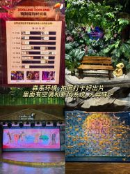 -Zoolung Zoolung动物主题公园(海信广场店)