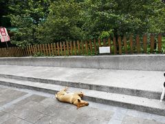 -太鲁阁公园
