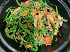 -鸽子窝(青塔店)