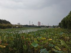 -老友谊冷面店(苏家屯店)