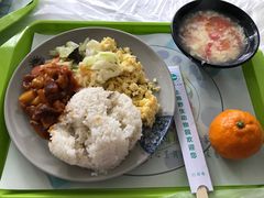 -上海野生动物园老虎餐厅