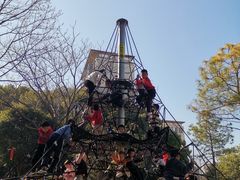 -宁波儿童公园(鄞州区)