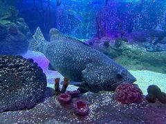 -沈阳海洋探索中心