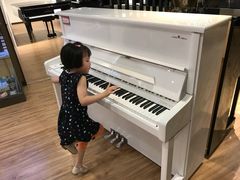 -柏斯琴行(汾阳店)