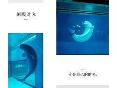 游乐设施-正佳极地海洋世界
