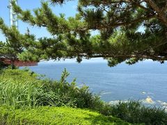 -养马岛旅游度假区