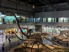 -自贡恐龙博物馆