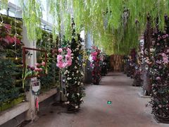 -正佳雨林生态植物园