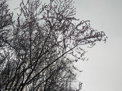 -南长河公园