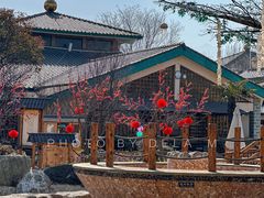 -华山御温泉度假村