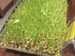 -海底捞火锅(八佰伴店)