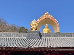 -庐山风景名胜区-东林大佛