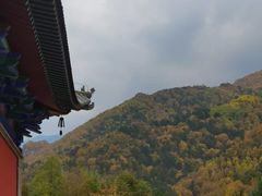 -小五台金河景区