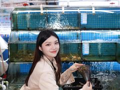-汪姐海鲜(侨港总店·金冠好店)