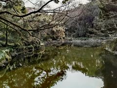-叶家花园