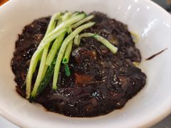 炸酱面-桃园中华料理炸酱面(燕儿岛路店)