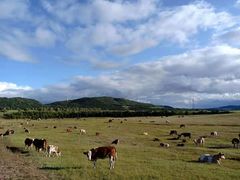 -塞罕坝国家级自然保护区