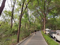 -到家尝北京菜(西坝河店)