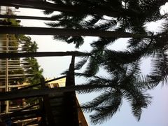 亚龙湾红树林度假酒店-三亚亚龙湾红树林度假酒店