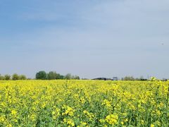 -汉长安城未央宫国家考古遗址公园