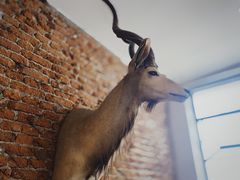 -Vanilla Specialty Coffee(八大关店)