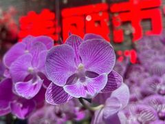 -豆豆花艺(新光天地店)