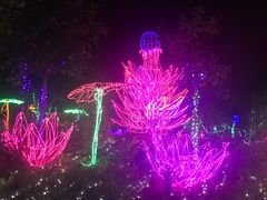 -顺鑫绿色度假村