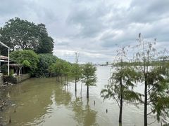 -贤鲁岛贤溪农庄