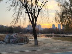 -太阳宫公园