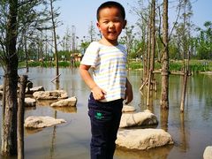 -上海长兴岛郊野公园