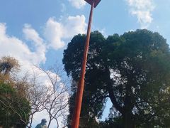 -青岛崂山太清宫