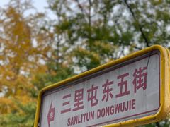 -三里屯东五街银杏大道