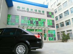 android_upload_pic-郑州自然博物馆(惠济区)