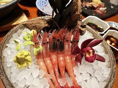 -月龍吟(朝龙汇店)