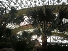 -杭州开元森泊度假乐园