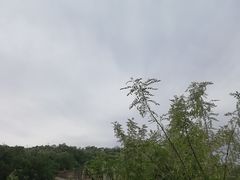 -陈炉古镇