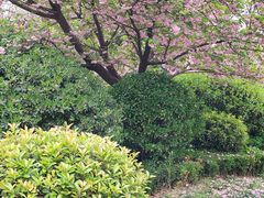 -木塔寺遗址生态公园