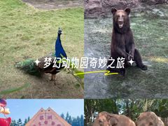-深圳野生动物园